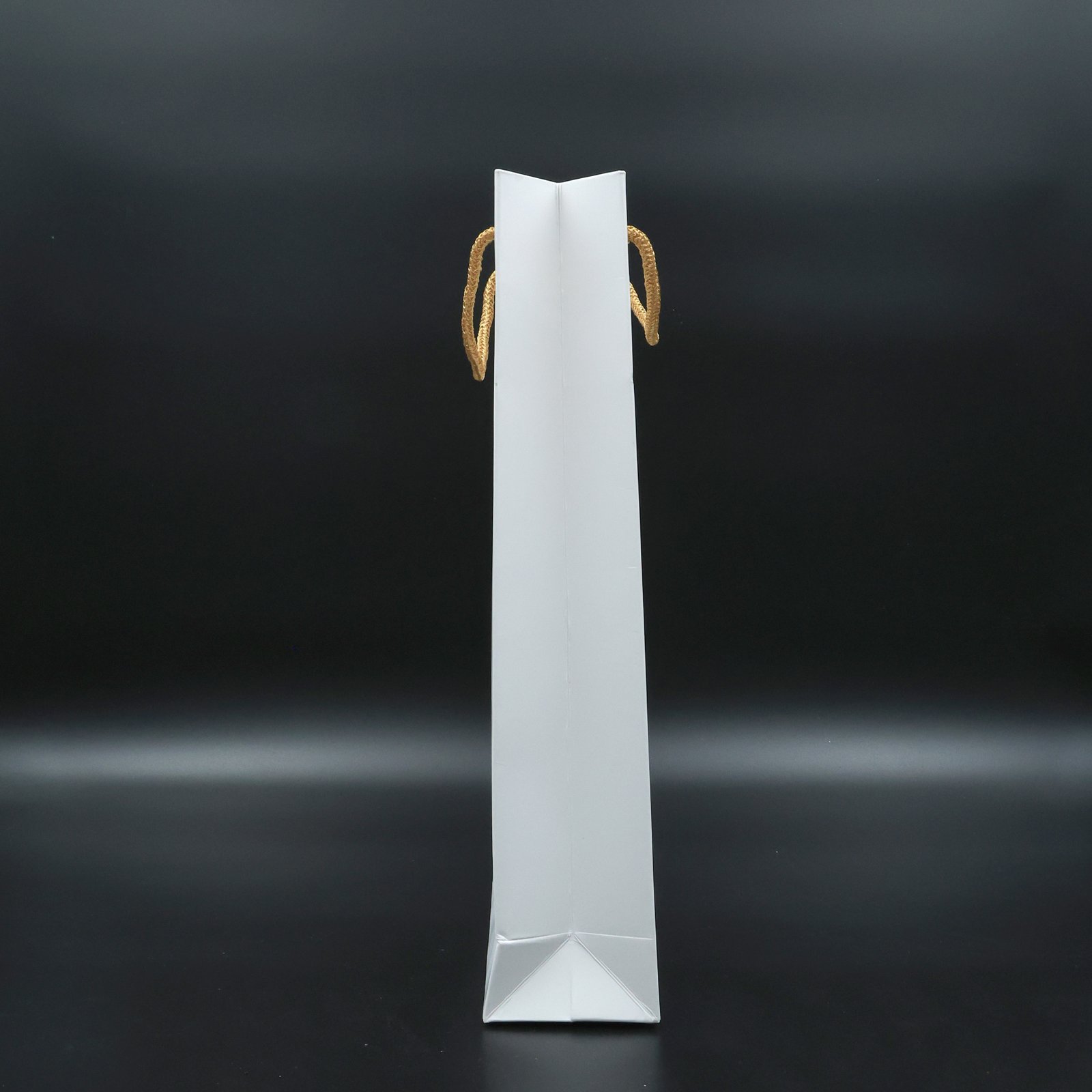 White Paper Bag Medium with Brown Breaded Rope