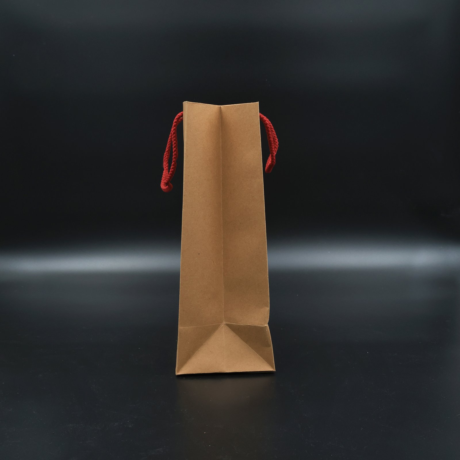 Paper Bag Small with Red Breaded Rope