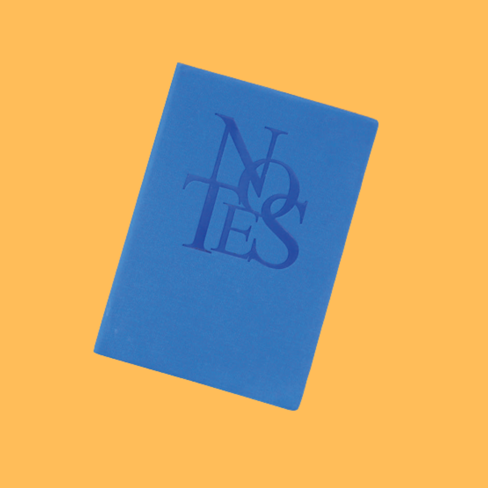 SKY BLUE NOTES NOTEBOOK