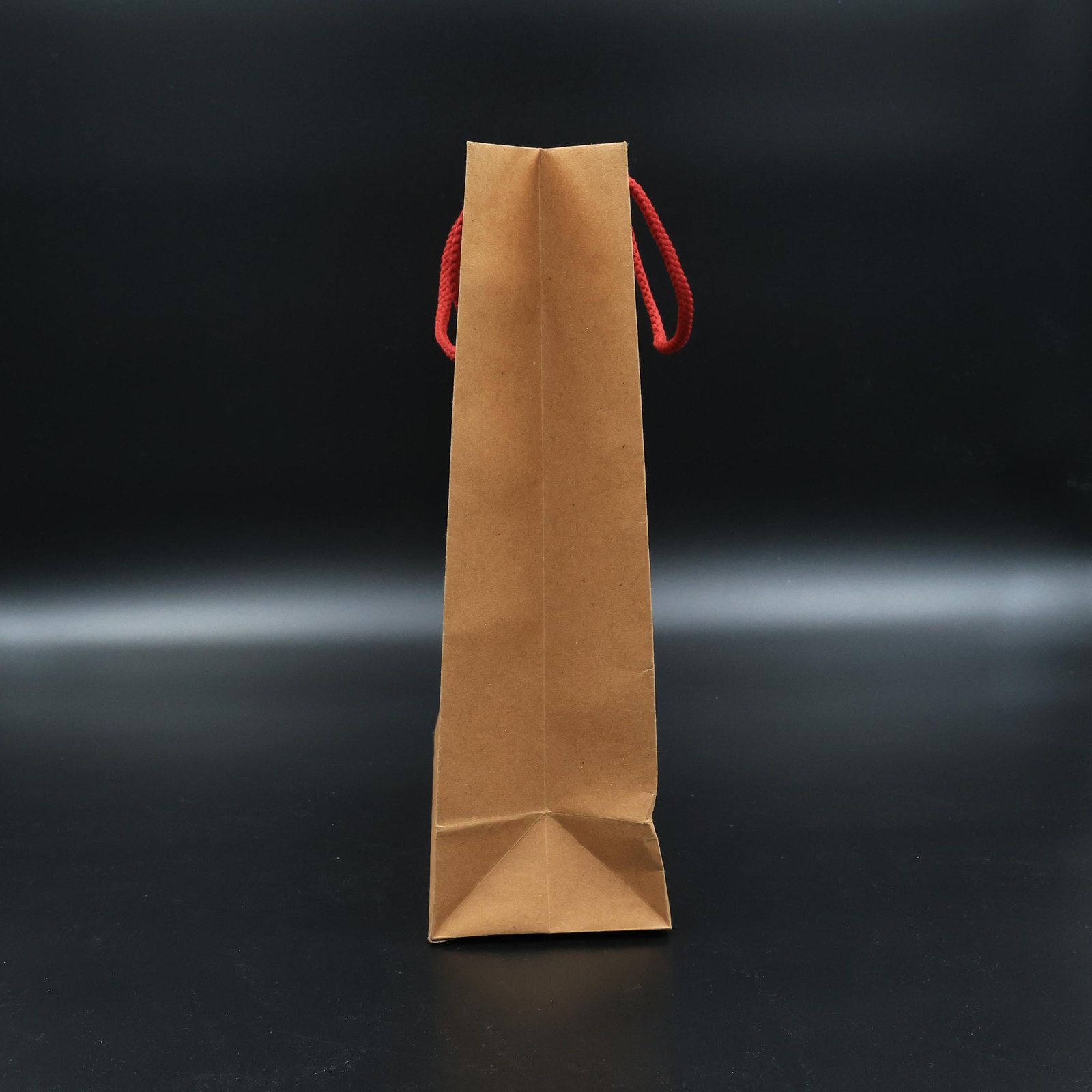 Paper Bag Medium Type 2 with Red Breaded Rope